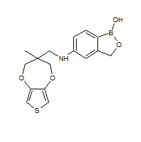 2-{2-[(3-Methyl-3,4-dihydro-2H-thieno[3,4-b][1,4]dioxepin-3-yl) 5-amino]-2-methylene-oxa} -phenylboronic acid)